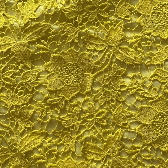 Madewell Lace mini skirt, 6 - Picture 4 of 11